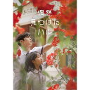 DVD / 海外TVドラマ / 偶然見つけたハル DVD-BOX2 / PCBP-62329