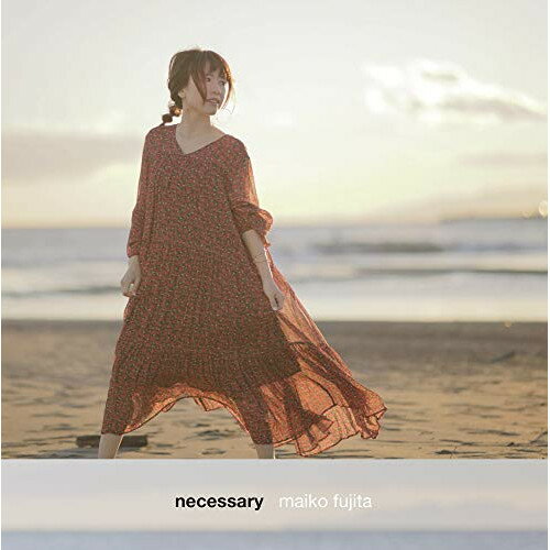 CD / 藤田麻衣子 / necessary (CD+DVD) (歌詞付) (完全生産限定盤) / VIZL-1748