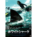【取寄商品】DVD / 海外TVドラマ / ホワイトシャーク / ALBSD-2345
