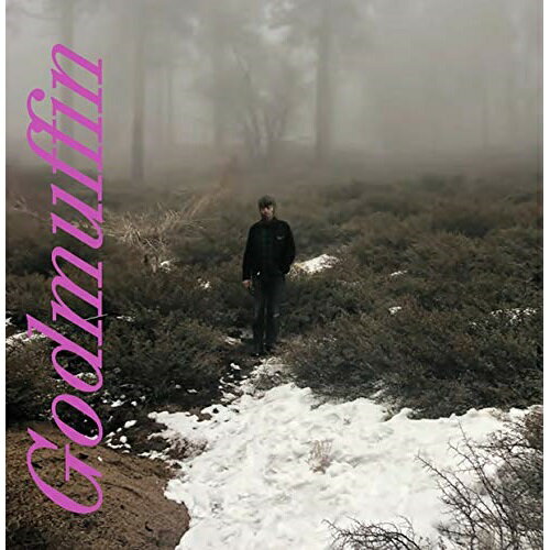 CD / マイク・ヴァイオラ / ゴッドマフィン (解説歌詞対訳付/ライナーノーツ) / SICX-163