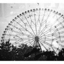 CD / 森は生きている / 森は生きている / PCD-18750