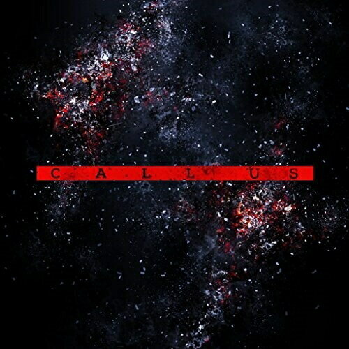 【取寄商品】CD / ナナ / CALL US / ATDE-7