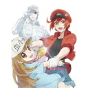 DVD / TVアニメ / はたらく細胞!! Vol.1 (DVD+CD) (完全生産限定版) / ANZB-14971(2)