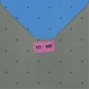 CD / 尾崎亜美 / ホット ベイビー (HQCD) (ライナーノーツ/紙ジャケット) / PCCA-50168