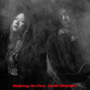 楽天サプライズ2CD / GLIM SPANKY / Walking On Fire （2CD+DVD） （初回限定盤） / TYCT-69177