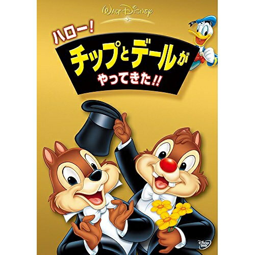 DVD / ディズニー / ハロー チップとデールがやってきた / VWDS-5000