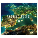 CD / WONDER WORLD / i'd love to turn you on / CSMC-18