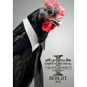 DVD / YELLOW FRIED CHICKENz / WORLD TOUR *SHOW UR SOUL.I* 世壊傷結愛魂祭 at BERLIN 2011...