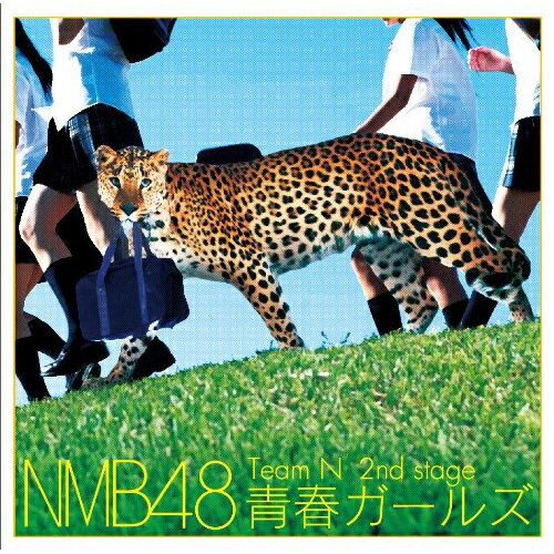 CD / NMB48 / Team N 2nd stage 青春ガールズ / YRCS-95012