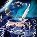 CD / トラウマー / アヴァロン (解説歌詞対訳付) / VICP-65412