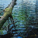 【取寄商品】CD / 菅原一樹 / Where wind arises (紙ジャケット) / ITLB-1144(2)