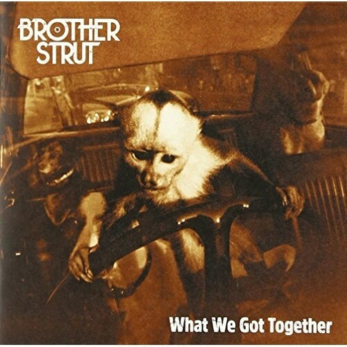 CD / ブラザー・ストラット / ホワット・ウィ・ガット・トゥゲザー (解説歌詞対訳付) / VICP-65385