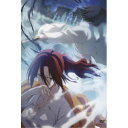 DVD / 劇場アニメ / 劇場版 空の境界 4/伽藍の洞 (通常版) / ANSB-2887