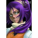 BLEACH(新隊長天貝繍助篇4)キッズ久保帯人、森田成一、堀内賢雄　発売日 : 2009年2月25日　種別 : DVD　JAN : 4534530027986　商品番号 : ANSB-2944