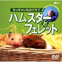 【 お取り寄せにお時間をいただく商品となります 】　・入荷まで長期お時間をいただく場合がございます。　・メーカーの在庫状況によってはお取り寄せが出来ない場合がございます。　・発送の都合上すべて揃い次第となりますので単品でのご注文をオススメいたします。　・手配前に「ご継続」か「キャンセル」のご確認を行わせていただく場合がございます。　当店からのメールを必ず受信できるようにご設定をお願いいたします。 ハムスターとフェレット/ちっちゃいものクラブ趣味教養　発売日 : 2003年6月05日　種別 : DVD　JAN : 4945977200366　商品番号 : SDA-22