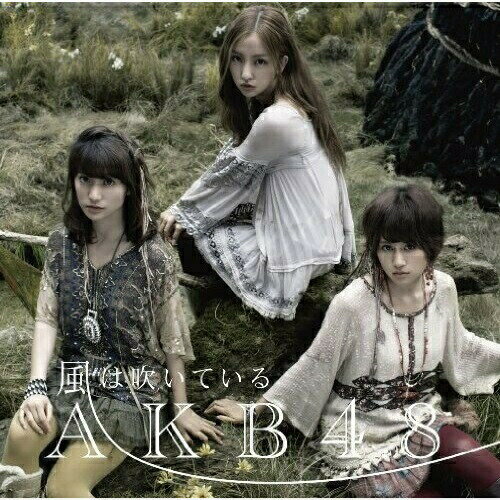 CD / AKB48 / 風は吹いている (CD+DVD) (通常盤Type-A) / KIZM-131