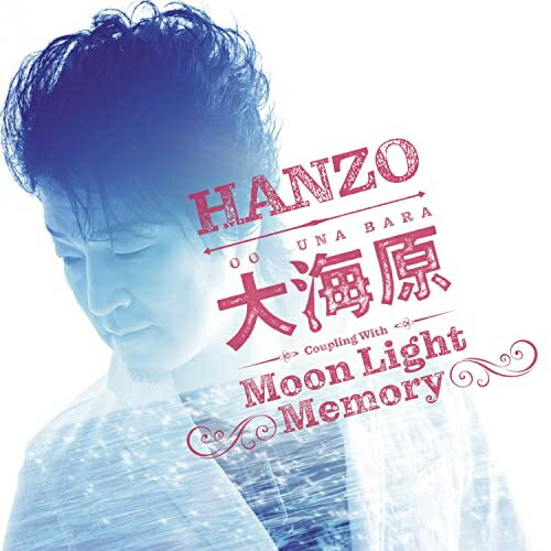 CD / HANZO / 大海原 シングルバージョン C/W Moon Light Memory メロ譜付 Bタイプ / TECA-22070