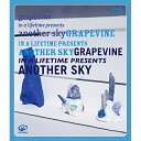 BD / GRAPEVINE / in a lifetime presents another sky(Blu-ray) (Blu-ray CD) / VIZL-2136