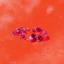 【取寄商品】CD / Ami Dang / The Living World's Demands / ARTPL-186