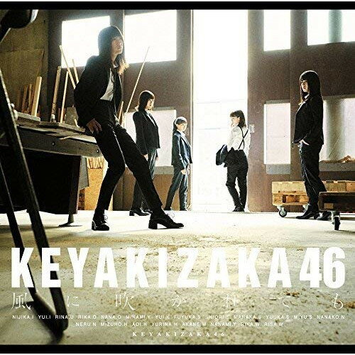 風に吹かれても (CD+DVD) (TYPE-C)欅坂46ケヤキザカフォーティーシックス けやきざかふぉーてぃーしっくす　発売日 : 2017年10月25日　種別 : CD　JAN : 4547366331653　商品番号 : SRCL-9585【商品紹介】大ヒット中のファースト・アルバム『真っ白なものは汚したくなる』から3カ月。初の全国ツアーを経て更に成長を遂げた欅坂46の通算5枚目のシングル!【収録内容】CD:11.風に吹かれても2.それでも歩いてる3.避雷針4.風に吹かれても -off vocal ver.-5.それでも歩いてる -off vocal ver.-6.避雷針 -off vocal ver.-DVD:21.風に吹かれても -MUSIC VIDEO-2.避雷針 -MUSIC VIDEO-3.グループ発展祈願の旅 〜埼玉編〜