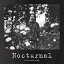 CD / Ӹμ / Nocturnal (̾) / NOMAD-34