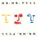CD / Mr.ミスター / PULL (解説付) (期間生産限定盤) / SICP-5491(2)