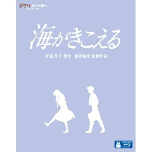 BD / 劇場アニメ / 海がきこえる(Blu-ray) / VWBS-8234