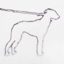 【取寄商品】CD / Jonah Yano / portrait of a dog (解説付) / RBCP-6821(2)