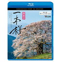 【 お取り寄せにお時間をいただく商品となります 】　・入荷まで長期お時間をいただく場合がございます。　・メーカーの在庫状況によってはお取り寄せが出来ない場合がございます。　・発送の都合上すべて揃い次第となりますので単品でのご注文をオススメいたします。　・手配前に「ご継続」か「キャンセル」のご確認を行わせていただく場合がございます。　当店からのメールを必ず受信できるようにご設定をお願いいたします。日本の一本桜 4K撮影作品(Blu-ray)趣味教養　発売日 : 2021年3月21日　種別 : BD　JAN : 4932323551531　商品番号 : VB-5515