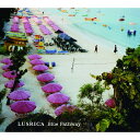 CD / LUSRICA / Blue Pathway / FAMC-48