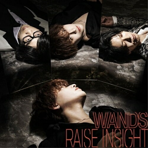 CD / WANDS / RAISE INSIGHT (CD+Blu-ray) (通常盤) / GZCD-7014