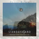 CD / Terry Riley / テリー・ライリー・スタンダーズアンド 小淵沢セッションズ #1 / SHIGERU-1発売