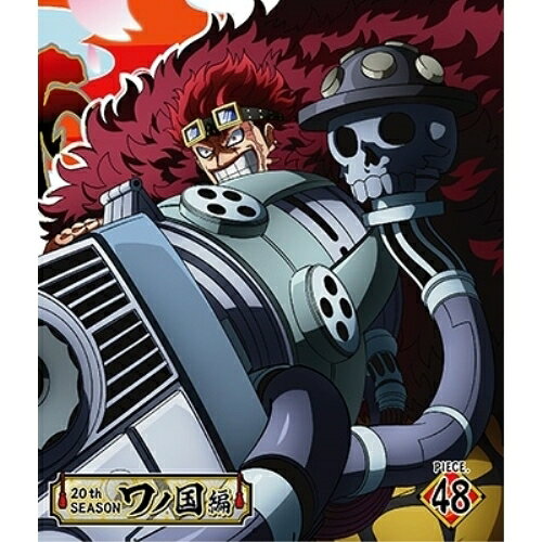 BD / TV 애니메이션 / ONE PIECE 원피스 20TH 시즌 와노 국편 PIECE.48 (Blu-ray) / EYXA-14237