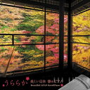 CD / 丸田美紀・磯村由紀子 / うららか-美しい日本 箏&ピアノ Beautiful JAPAN Koto & Piano / KICS-4177