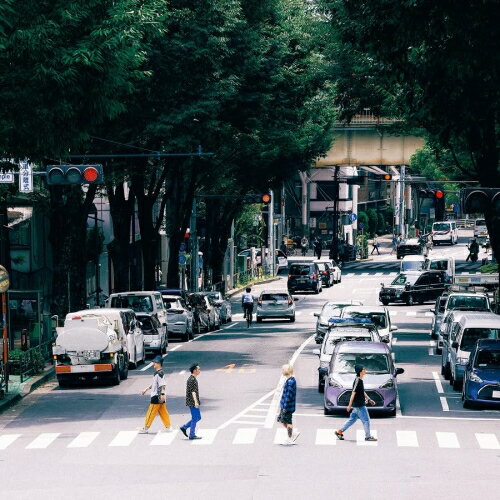 CD / ストレイテナー / The Ordinary Road (通常盤) / TYCT-60236