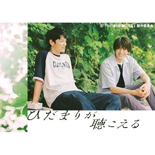 DVD / 国内TVドラマ / ひだまりが聴こえる DVD-BOX (本編ディスク3枚+特典ディスク1枚) / VPBX-15793