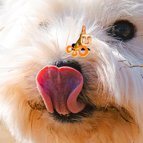 【 お取り寄せにお時間をいただく商品となります 】　・入荷まで長期お時間をいただく場合がございます。　・メーカーの在庫状況によってはお取り寄せが出来ない場合がございます。　・発送の都合上すべて揃い次第となりますので単品でのご注文をオススメいたします。　・手配前に「ご継続」か「キャンセル」のご確認を行わせていただく場合がございます。　当店からのメールを必ず受信できるようにご設定をお願いいたします。 プレイグラウンドオティス・リムリム オティス りむ おてぃす　発売日 : 2024年11月20日　種別 : CD　JAN : 4995879254462　商品番号 : PCD-25446【収録内容】CD:11.Body Ache2.JAMI(feat.THAMA)3.Give Me the Night(feat.Jay Park)4.Ciel Laughed, Too5.Me and My Dog's Story6.George Clinton Is Playing at My House7.FEELING!8.(sigh) Finally, The Alley Has Now Become Quiet9.Half Asleep(feat.Peakboy, hiko)10.woorizip puppy is cute11.Only Cicadas12.Summer