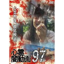 【取寄商品】DVD / 趣味教養 / 心霊闇動画97 / OED-11076