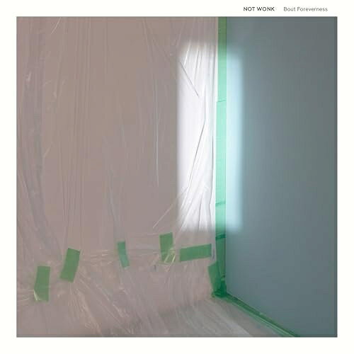 【取寄商品】CD / NOT WONK / Bout Foreverness / BFCD-1003