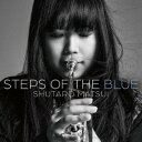 LP(30cm) / 松井秀太郎 / STEPS OF THE BLUE (ライナーノーツ) (初回生産限定盤) / AVJL-84151