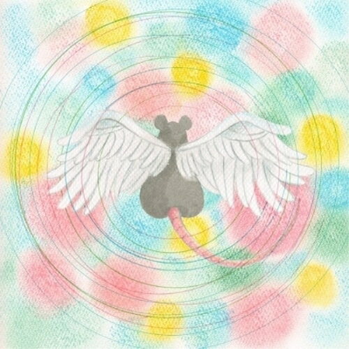 【取寄商品】CD / メイ・シモネス / アニマル (解説歌詞対訳付) / BR-66JCD