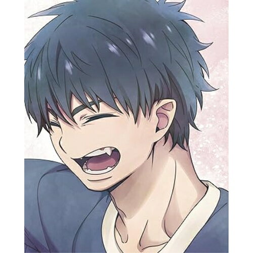 DVD / TV˥ / Ĥ β 1 (2DVD+CD) () / ANZB-17681