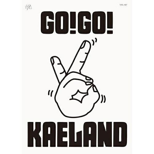 BD / 木村カエラ / KAELA presents GO!GO!KAELAND 2024 -20years anniversary-(Blu-ray) / VIXL-487