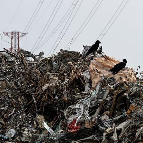 ץ饤2㤨֡ڼʡCD / computer fight / suburban blues / SBBB-2302פβǤʤ2,200ߤˤʤޤ