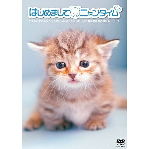 はじめまして ニャンタイム趣味教養　発売日 : 2009年11月25日　種別 : DVD　JAN : 4580204756027　商品番号 : YRBN-90082