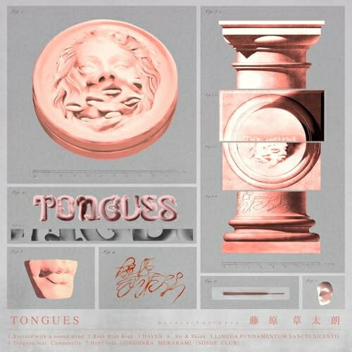 【取寄商品】CD / Sotaro Fujiwara / Tongues (紙ジャケット) / AUN-20