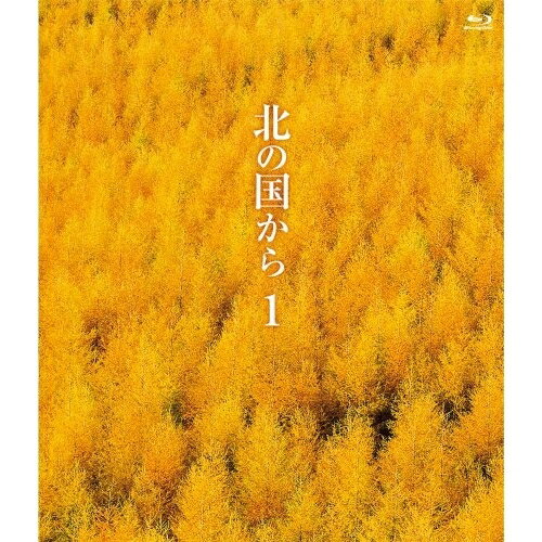 北の国から 1 Blu-ray(Blu-ray)国内TVドラマ田中邦衛、吉岡秀隆、中嶋朋子、倉本聰、さだまさし　発売日 : 2011年9月21日　種別 : BD　JAN : 4988632141703　商品番号 : PCXC-50040
