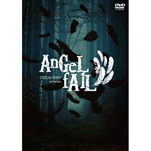 DVD / 趣味教養 / AnGeL fAlL (完全生産限定版) / COBC-7017
