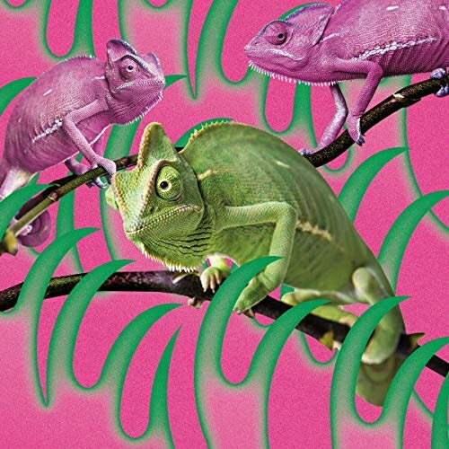 CD / 赤い公園 / 消えない - EP / ESCL-5167