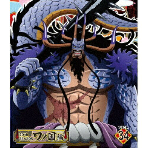 BD / TV 애니메이션 / ONE PIECE 원피스 20TH 시즌 와노 국편 PIECE.34 (Blu-ray) / EYXA-13871